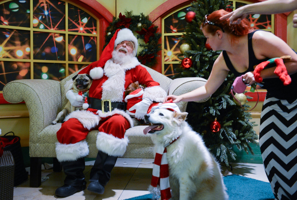 Santa chuckles as Buddy, 11, Lulu, 5, Gizmo, 9, and Angel, 9, try to have their photo taken with Santa Wednesday, Dec. 17 at Westfield Sarasota Square. STAFF PHOTO / RACHEL S. O'HARA