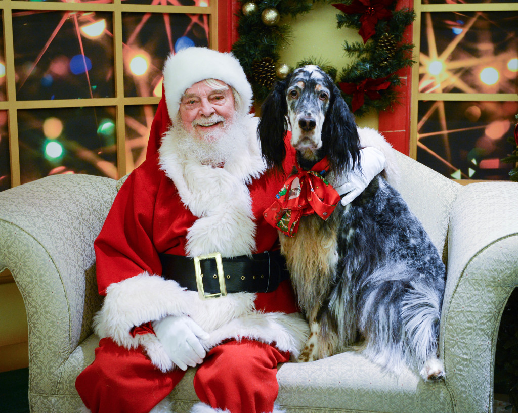 Dexter, 4, sits with Santa for a photo Wednesday, Dec. 17 at Westfield Sarasota Square. STAFF PHOTO / RACHEL S. O'HARA