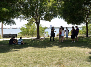 People gather around a lure at Bayfront Park in Sarasota looking for Pokemon beasts using the Pokemon Go app on Monday, July 11, 2016. (STAFF PHOTO / CARLOS R. MUNOZ)
