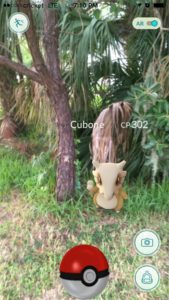 A Cubone looks almost like it actually belongs amid the palmettos and pines. (PHOTO BY KAT DOW)