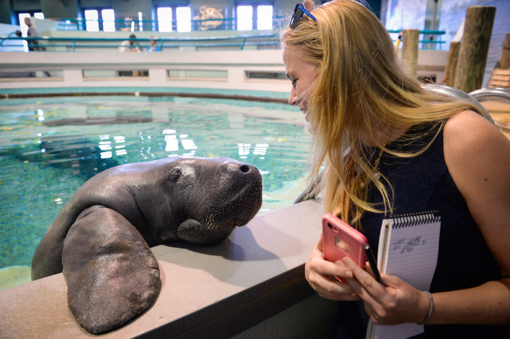 Shelby Webb has some bonding time with Snooty. STAFF PHOTO / RACHEL S. O'HARA