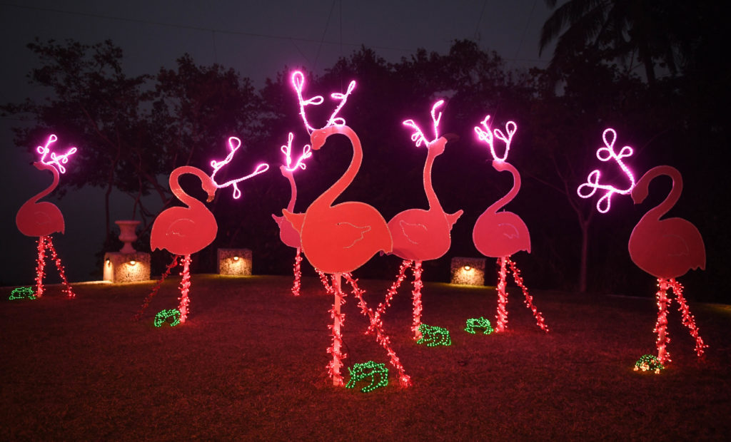 The 2016 Lights in Bloom display is ready for visitors at Marie Selby Botanical Gardens in Sarasota. The display, with nearly a million lights, will run nightly December 16-23 and December 26-30 from 6 to 9 p.m. The lighting was done by Affairs In The Air. Herald-Tribune staff photo / Rachel S. O'Hara